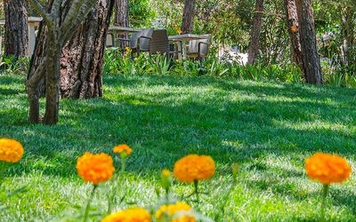 Pine Club Boutique Hotel & Spa · 3