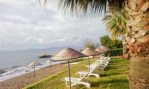 turkiye/aydin/kusadasi/art-beach-hotel-1652516085.jpg