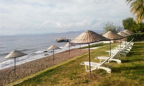 turkiye/aydin/kusadasi/art-beach-hotel-867519638.jpg