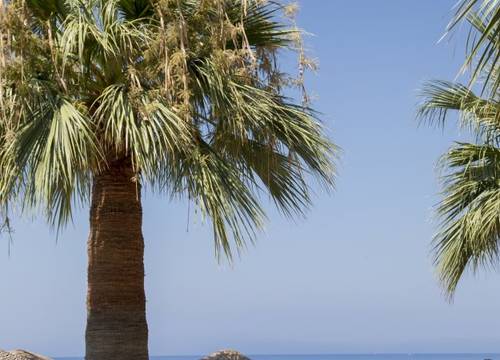 turkiye/aydin/kusadasi/bella-pino-hotel-1610852.jpg