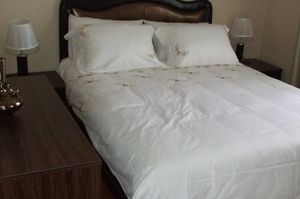 turkiye/aydin/kusadasi/kusadasi-kristal-apart-1726063.jpg