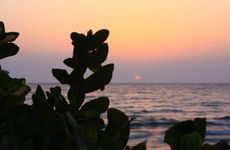 turkiye/aydin/kusadasi/mor-suit-hotel_d28e7faf.jpg