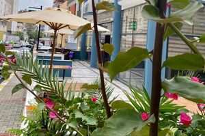 turkiye/aydin/kusadasi/nesclass-otel-3_e51d5730.jpg