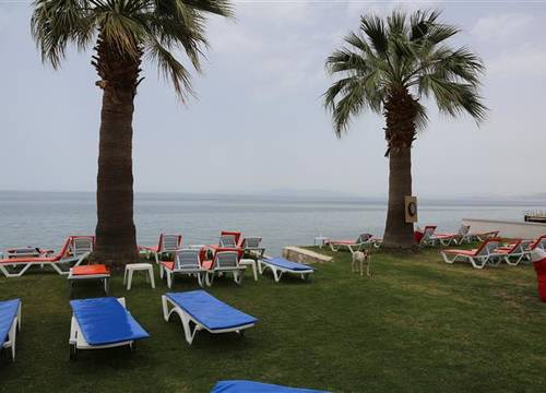 turkiye/aydin/kusadasi/nuova-beach-hotel-kusadasi-1616159284.JPG