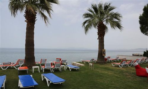 turkiye/aydin/kusadasi/nuova-beach-hotel-kusadasi-1616159284.JPG