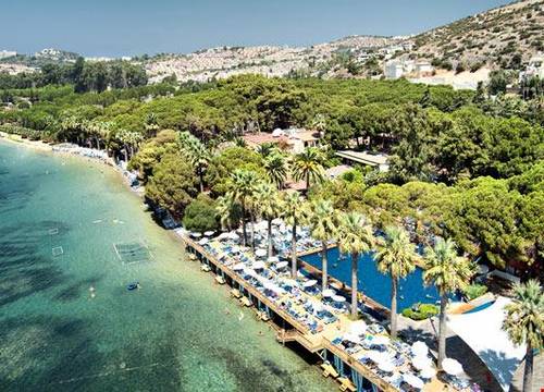 turkiye/aydin/kusadasi/omer-holiday-resort_e8b62848.jpg