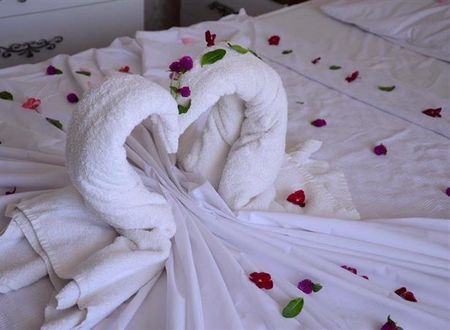 turkiye/aydin/kusadasi/papatya-hotel-2108783628.jpg