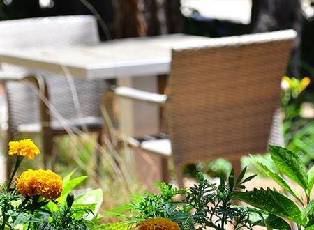 turkiye/aydin/kusadasi/pine-club-butik-otel-50439558.jpg