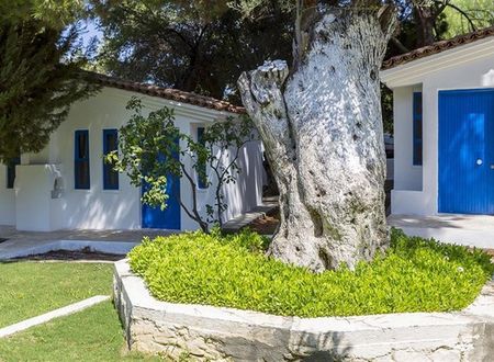turkiye/aydin/kusadasi/risus-garden-hotel-8bf77685.jpg