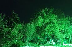 turkiye/aydin/soke/lotus-house_75bec9fa.jpg