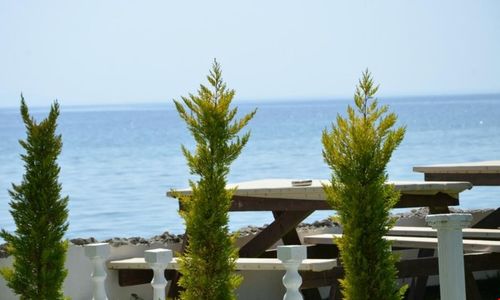 turkiye/balikesir/altinoluk/sir-motel-beach-camping_154c4290.jpg