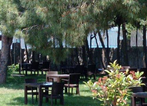 turkiye/balikesir/avsa-adasi/mavi-koy-beach-resort_84925411.jpg