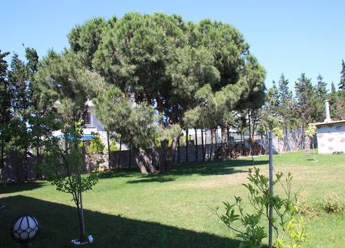 turkiye/balikesir/avsa-adasi/mavi-koy-beach-resort_b2fbdf7a.jpg