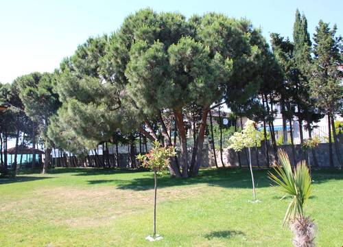 turkiye/balikesir/avsa-adasi/mavi-koy-beach-resort_caa8d0dc.jpg