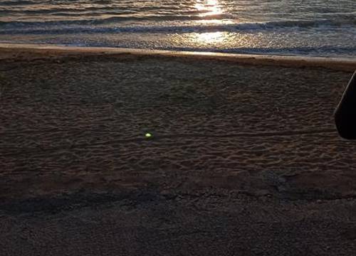 turkiye/balikesir/avsa-adasi/mavi-koy-beach-resort_d78d48b5.jpg
