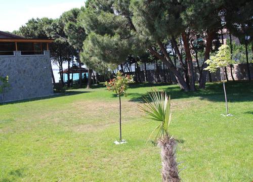 turkiye/balikesir/avsa-adasi/mavi-koy-beach-resort_dffc62fc.jpg