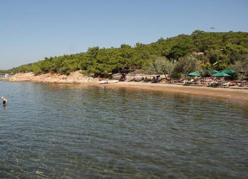 turkiye/balikesir/ayvalik/ada-camping_4262cb79.jpg