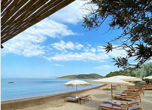 turkiye/balikesir/ayvalik/ada-camping_8b5676c8.png