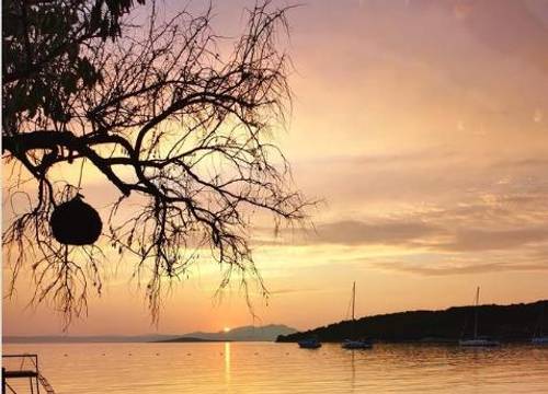 turkiye/balikesir/ayvalik/ada-camping_a5f6d264.png
