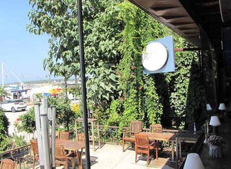 turkiye/balikesir/ayvalik/aliye-hanim-cunda_4f1aecdb.jpg
