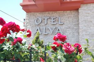 turkiye/balikesir/ayvalik/alya-otel-586474.jpg