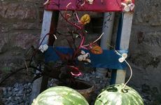 turkiye/balikesir/ayvalik/azrakonukevi-restorant_fb865df9.jpg