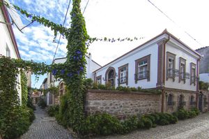 turkiye/balikesir/ayvalik/cavlihane_e6eefea6.jpg