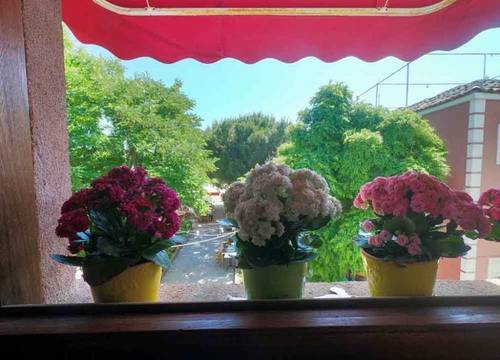 turkiye/balikesir/ayvalik/cunda-doruk-otel_cdbe39fb.jpg
