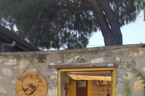 turkiye/balikesir/ayvalik/denizkizi-apart_444881eb.jpg