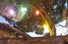 turkiye/balikesir/ayvalik/denizkizi-apart_63e00360.jpg