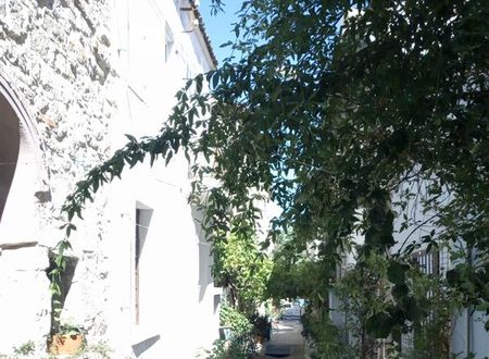 turkiye/balikesir/ayvalik/ektenis-konuk-evi-81df9014.jpg