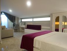Habitación Panorámica Ático