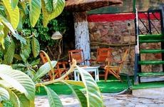 turkiye/balikesir/ayvalik/limon-agaci-pansiyon_07e0d86e.jpg