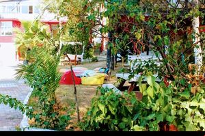 turkiye/balikesir/ayvalik/limon-agaci-pansiyon_41bbee3f.jpg