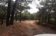 turkiye/balikesir/ayvalik/sakli-cennet-bungalow-evleri_5ff8d533.jpg