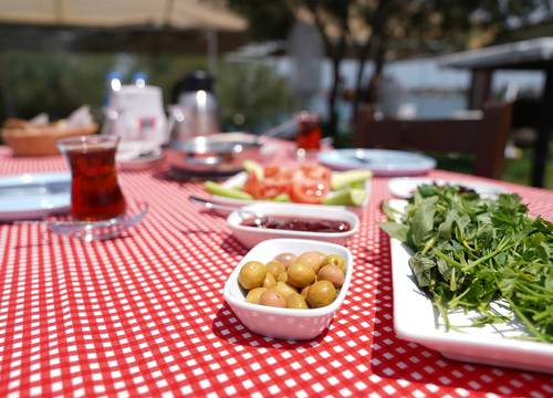 turkiye/balikesir/ayvalik/shaman-boutique-houses_f758f596.jpg