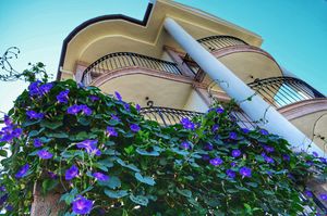 turkiye/balikesir/ayvalik/stone-hill-butik-otel_77c679a7.jpeg