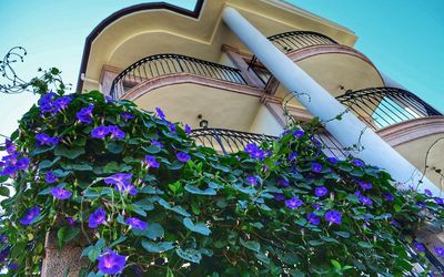 Stone Hill Otel · 2