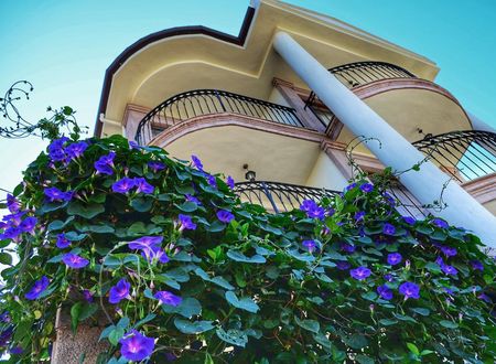 turkiye/balikesir/ayvalik/stone-hill-butik-otel_77c679a7.jpeg