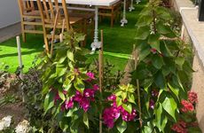 turkiye/balikesir/ayvalik/villa-zeytin-ayvalik-guesthouse_625aed6b.jpg