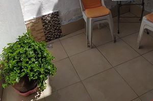 turkiye/balikesir/ayvalik/yildiz-ev-pansiyon_6687b29d.jpg