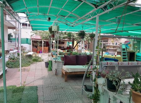 turkiye/balikesir/burhaniye/ayisigi-pansiyon_07081b72.jpg