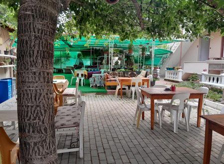 turkiye/balikesir/burhaniye/ayisigi-pansiyon_81385d4a.jpg