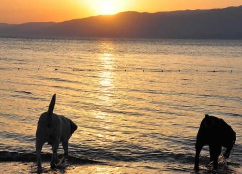 turkiye/balikesir/burhaniye/efem-holiday-resort-1587087.jpg
