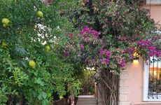 turkiye/balikesir/burhaniye/evim-palace_7e29fd8b.jpg