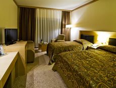 Standard Room - Nature View