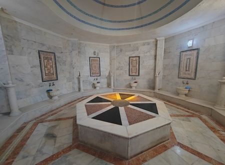 turkiye/balikesir/edremit/afrodit-termal-otel_8b9581dd.jpg