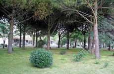 turkiye/balikesir/edremit/akcay-pinea-club_64c0a88e.jpg