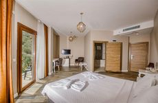 turkiye/balikesir/edremit/elaia-hotel-thermal-spa-kazdaglari-6ab1bd65.jpg