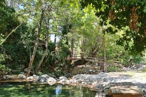 turkiye/balikesir/edremit/forestida-hotel_a2d1cb58.jpg
